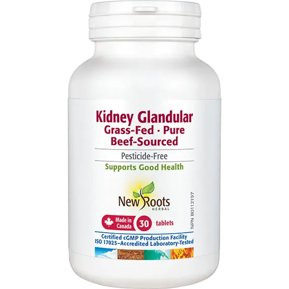 Kidney Glandular